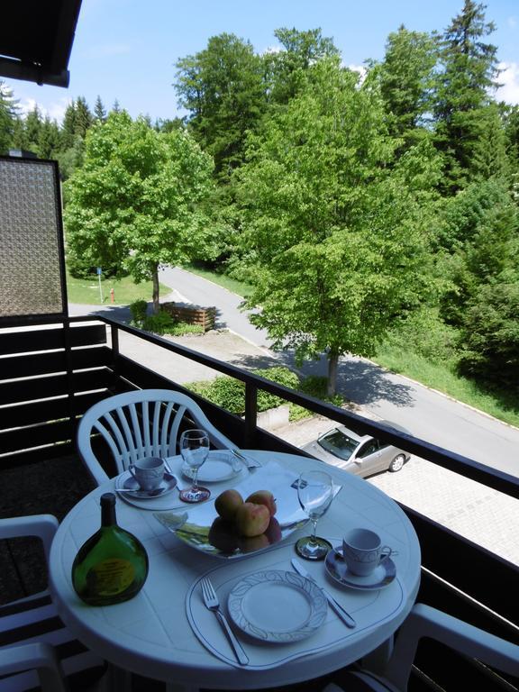 Ferienwohnung Waldblick * Braunlage