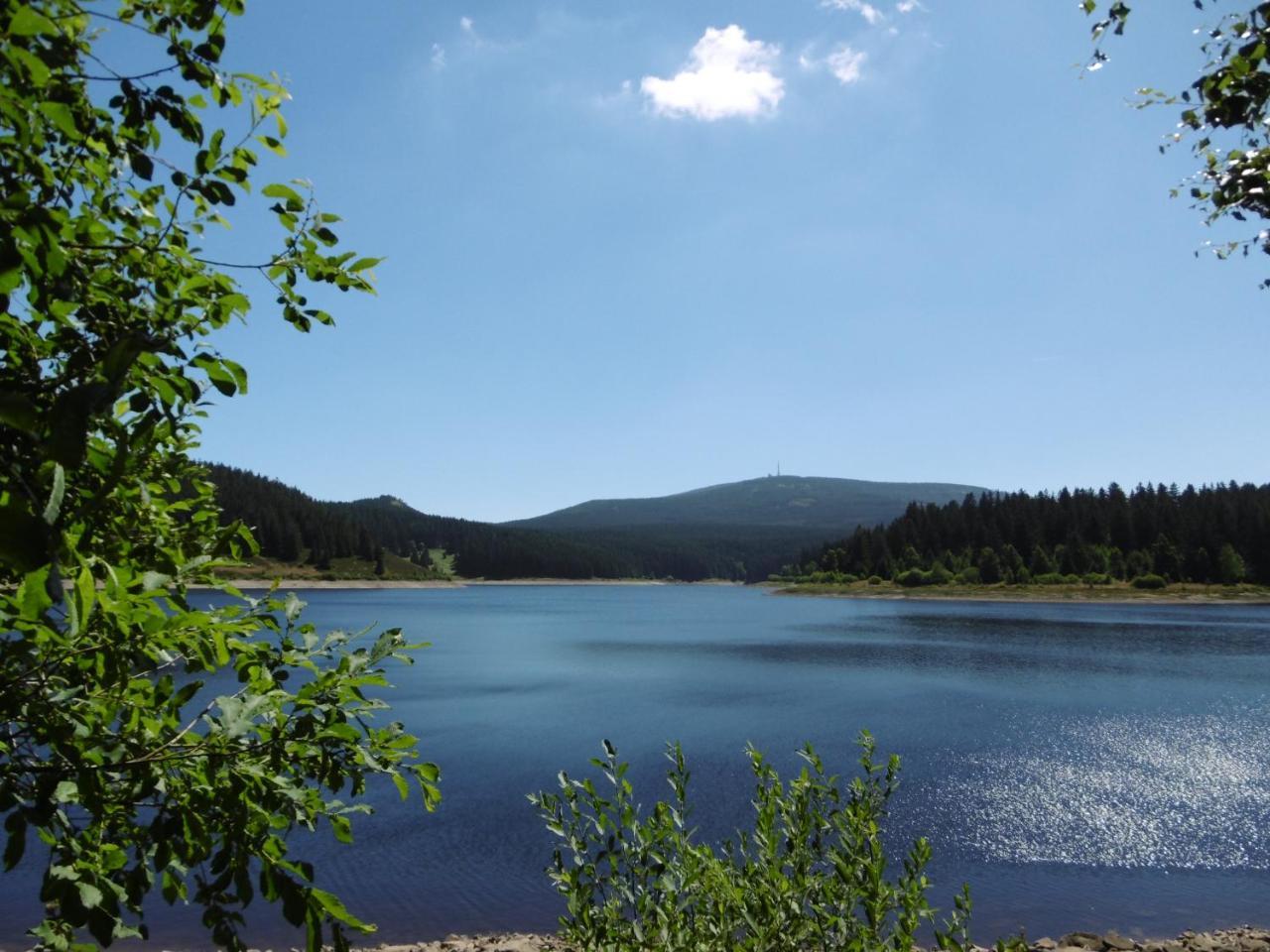 Lejlighed Ferienwohnung Waldblick