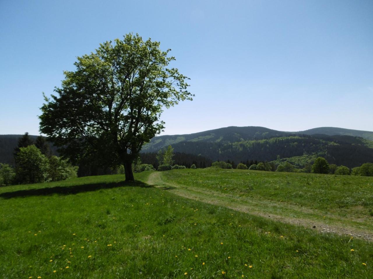 Lejlighed Ferienwohnung Waldblick Braunlage