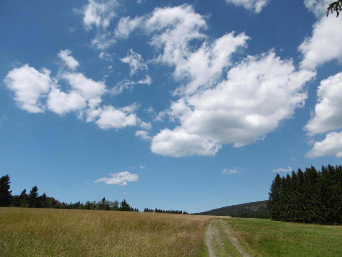 Ferienwohnung Waldblick Lejlighed *